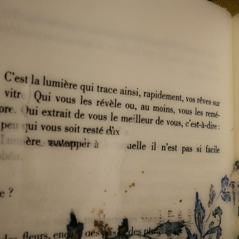 irene tetaz, Philippe Jaccottet